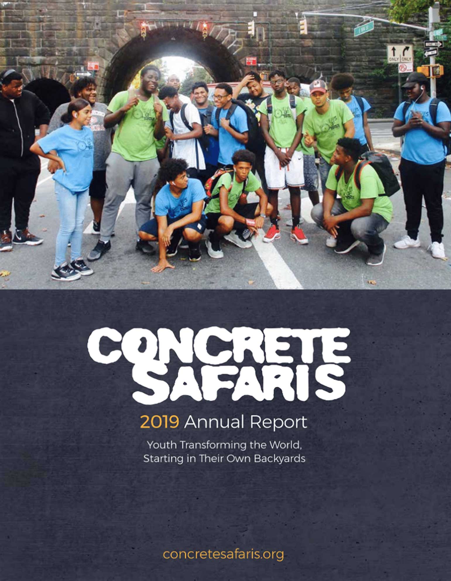 Concrete Safaris Annual Report